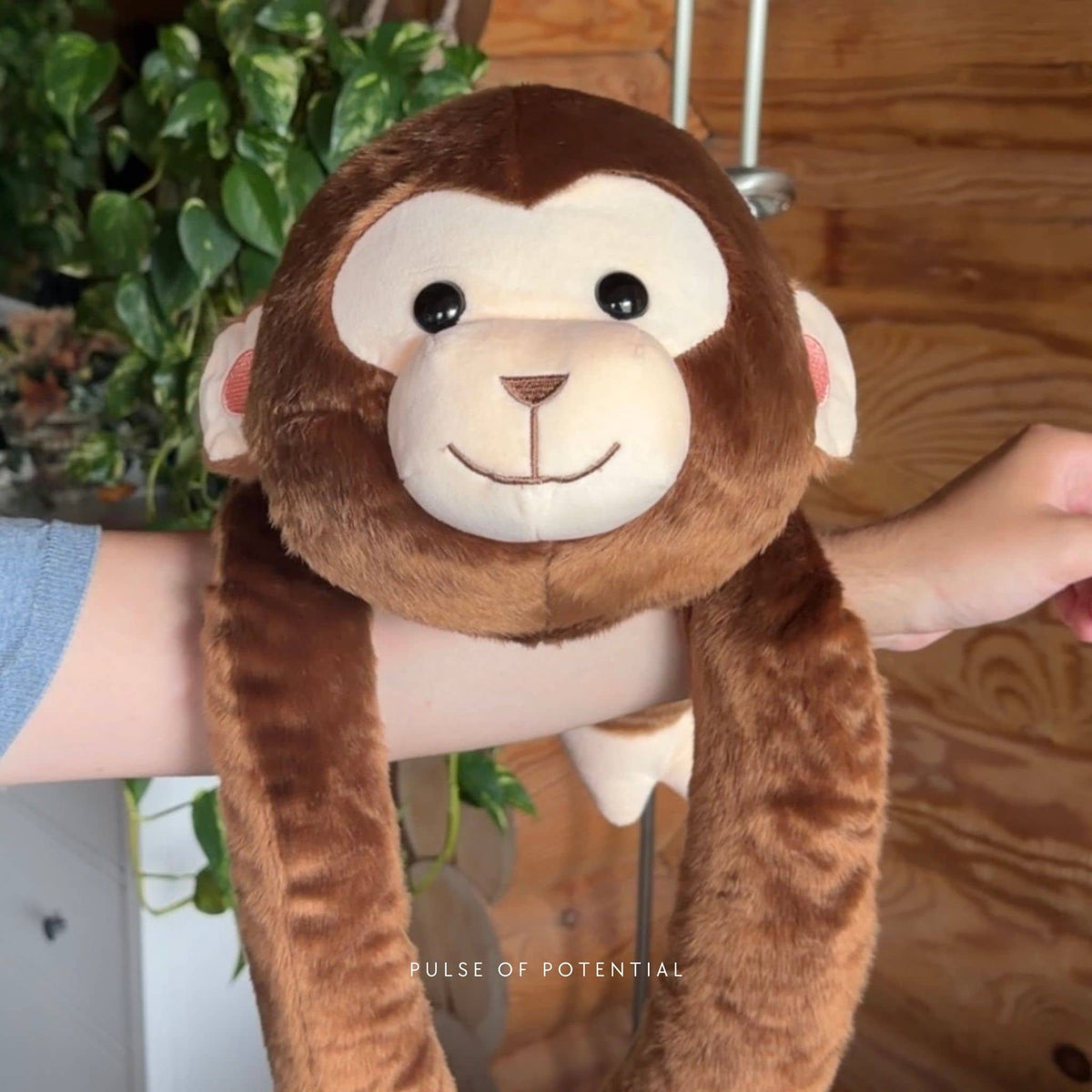 Marty the Monkey Weighted Animal