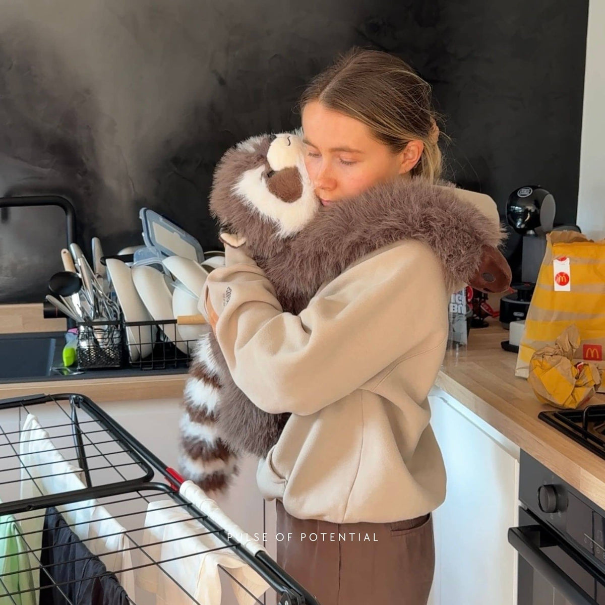 Rockie the Raccoon Weighted Animal